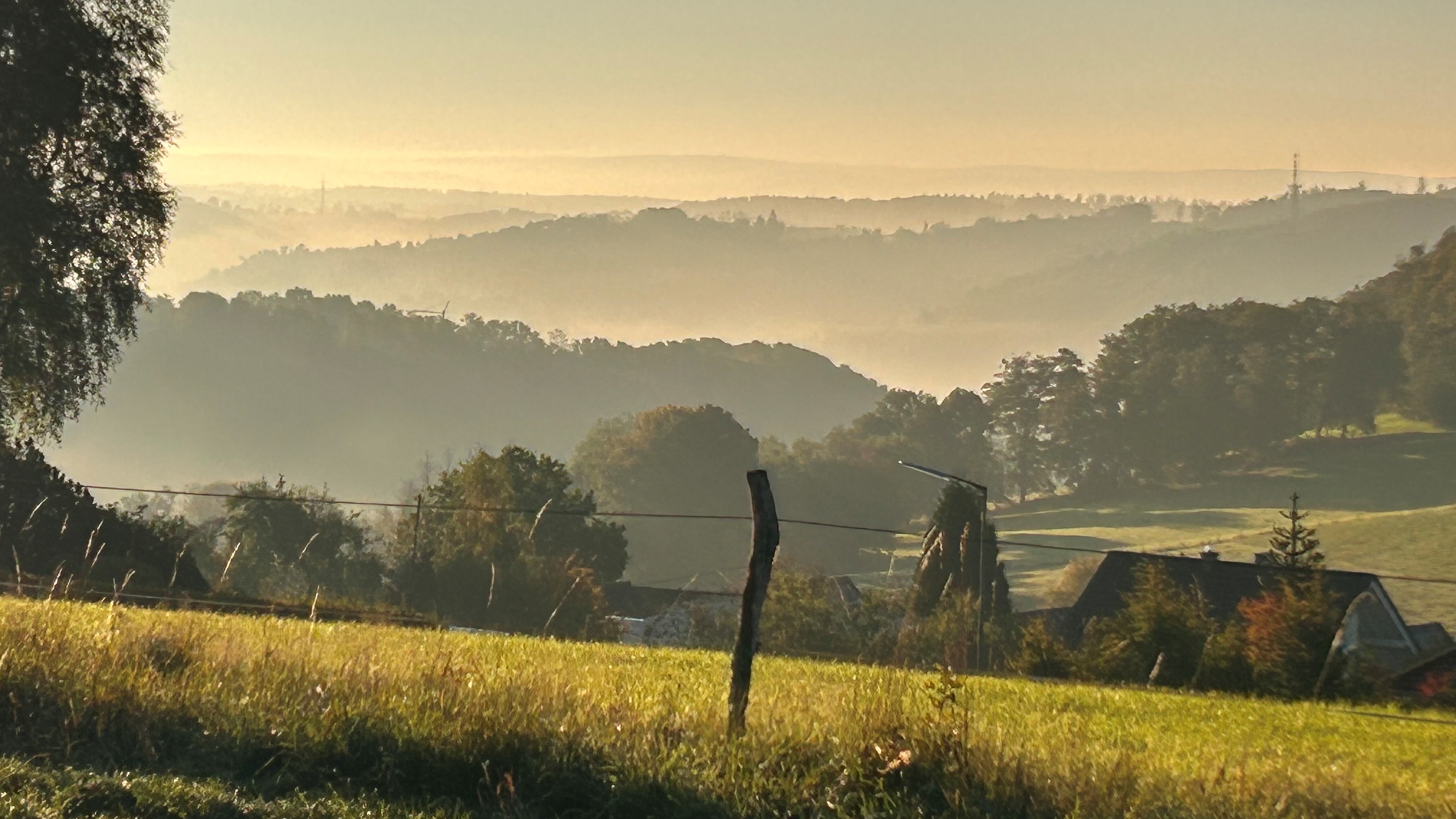 Uitzicht Biggesee, hondenwandeling Bergisches Land